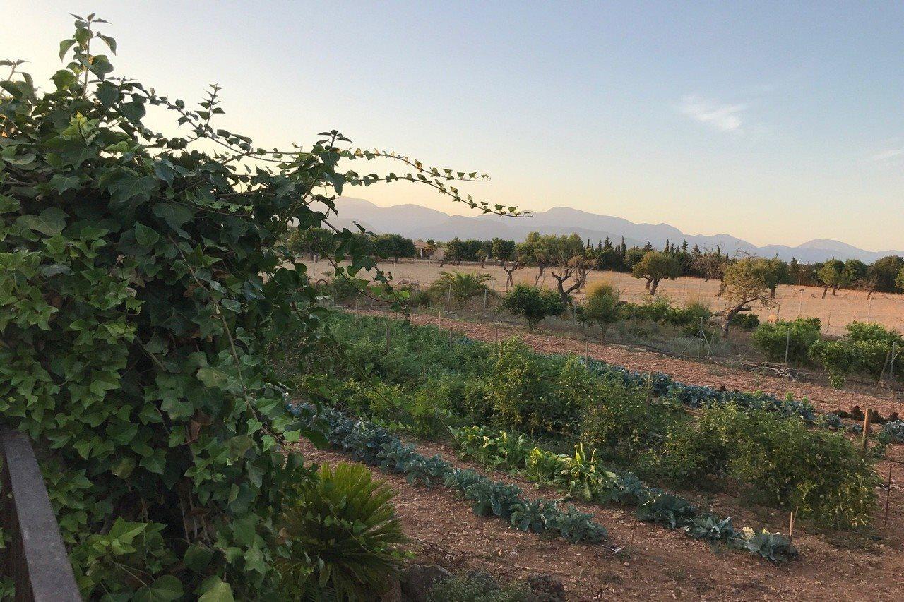 Agroturismo Es Quatre Cantons Binissalem Exterior foto