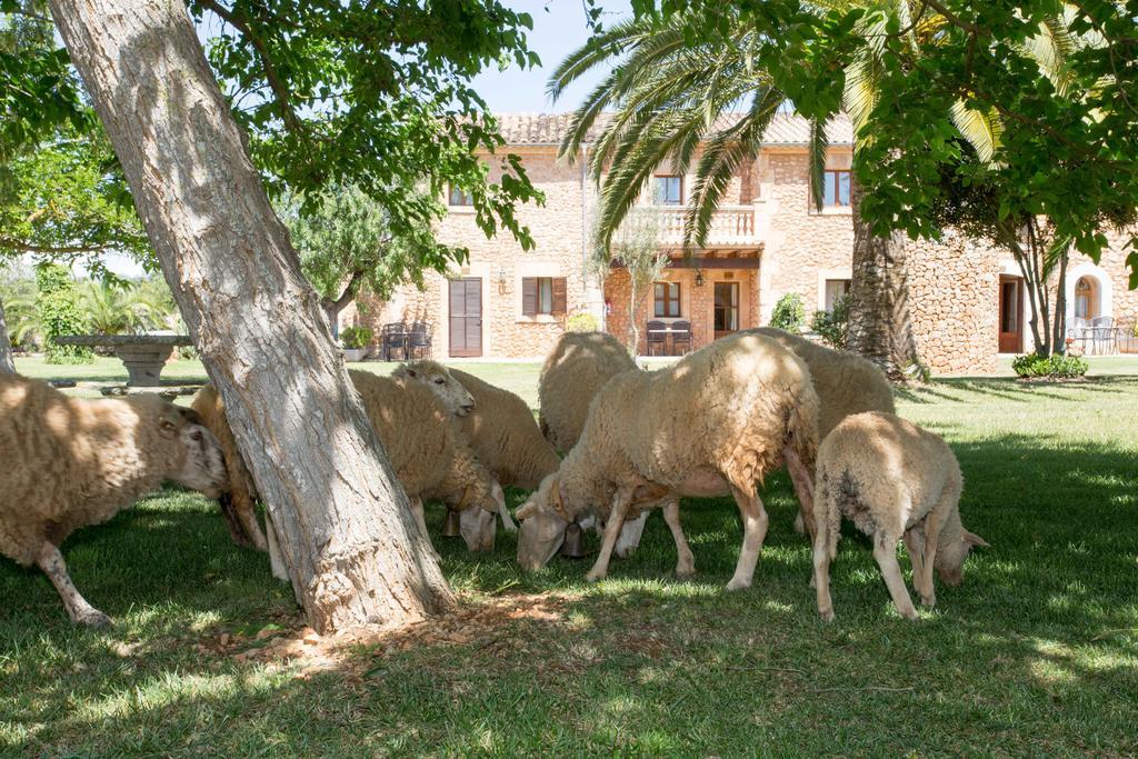 Agroturismo Es Quatre Cantons Binissalem Exterior foto